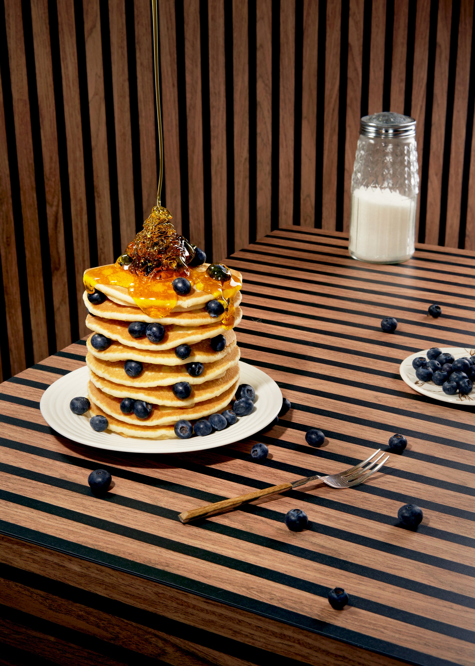 Acoustic Vinyl Photography Backdrop by Club Backdrops