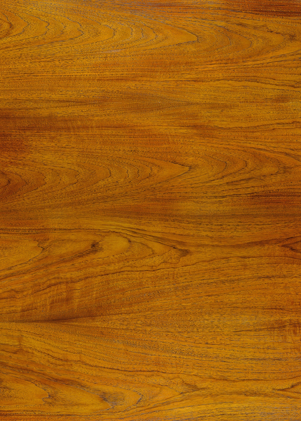Golden Teak